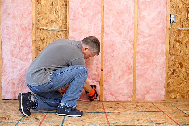 Best Insulation Materials and Products in Litchfield, IL