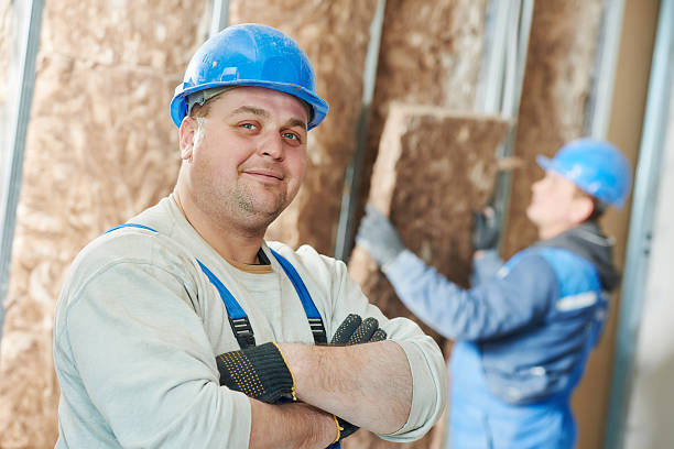 Best Insulation Maintenance and Repair in Litchfield, IL