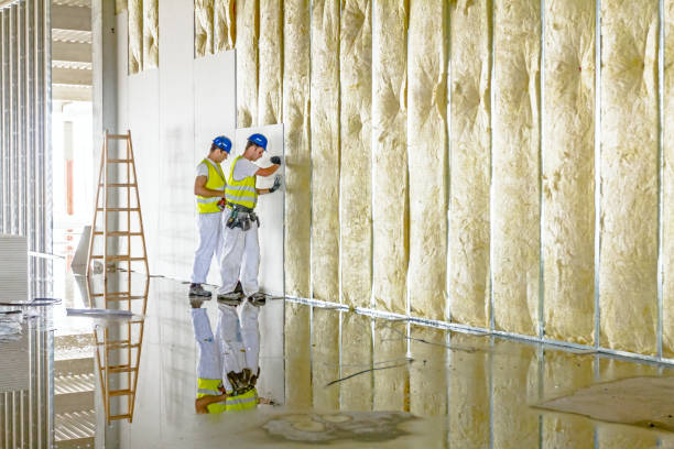 Best Types of Insulation in Litchfield, IL